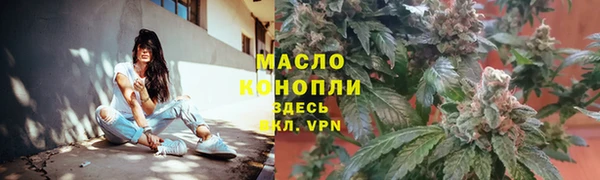 молекула духа Бородино